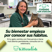 Cuidado del gato. Imagen de referencia sin aval veterinario a Kittendish.