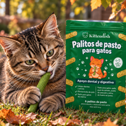 Gato al aire libre con envase conceptual Kittendish en español.
